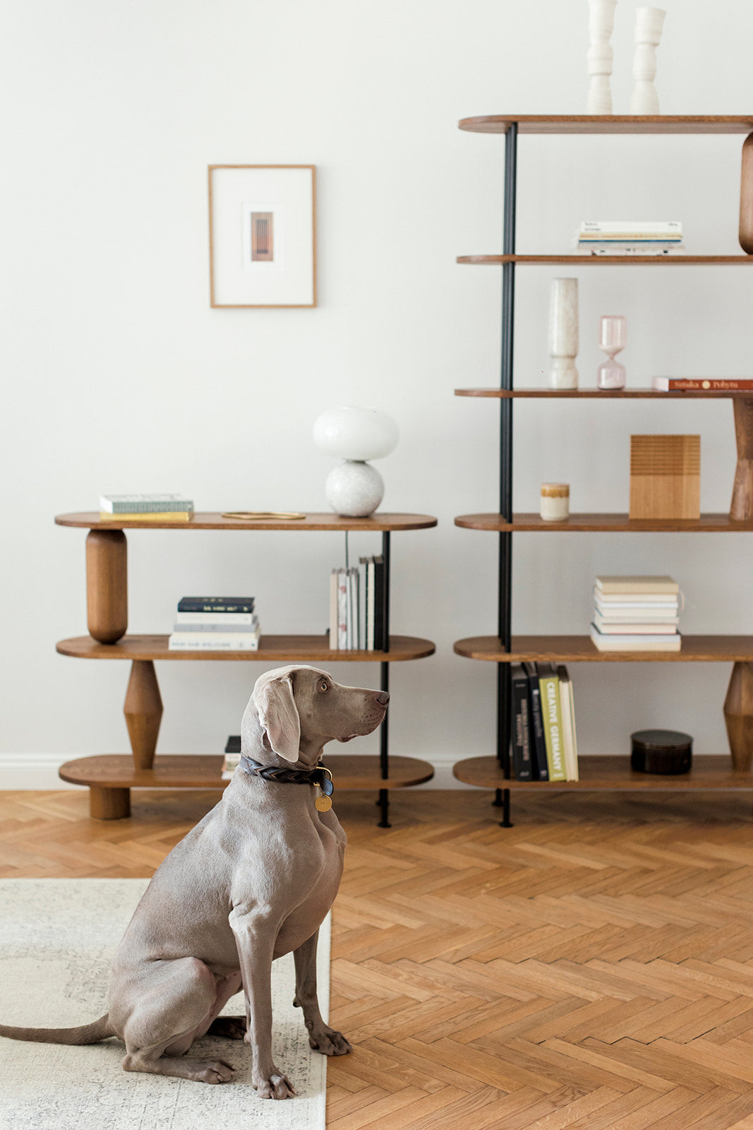 VAZOO bookcase TAMO