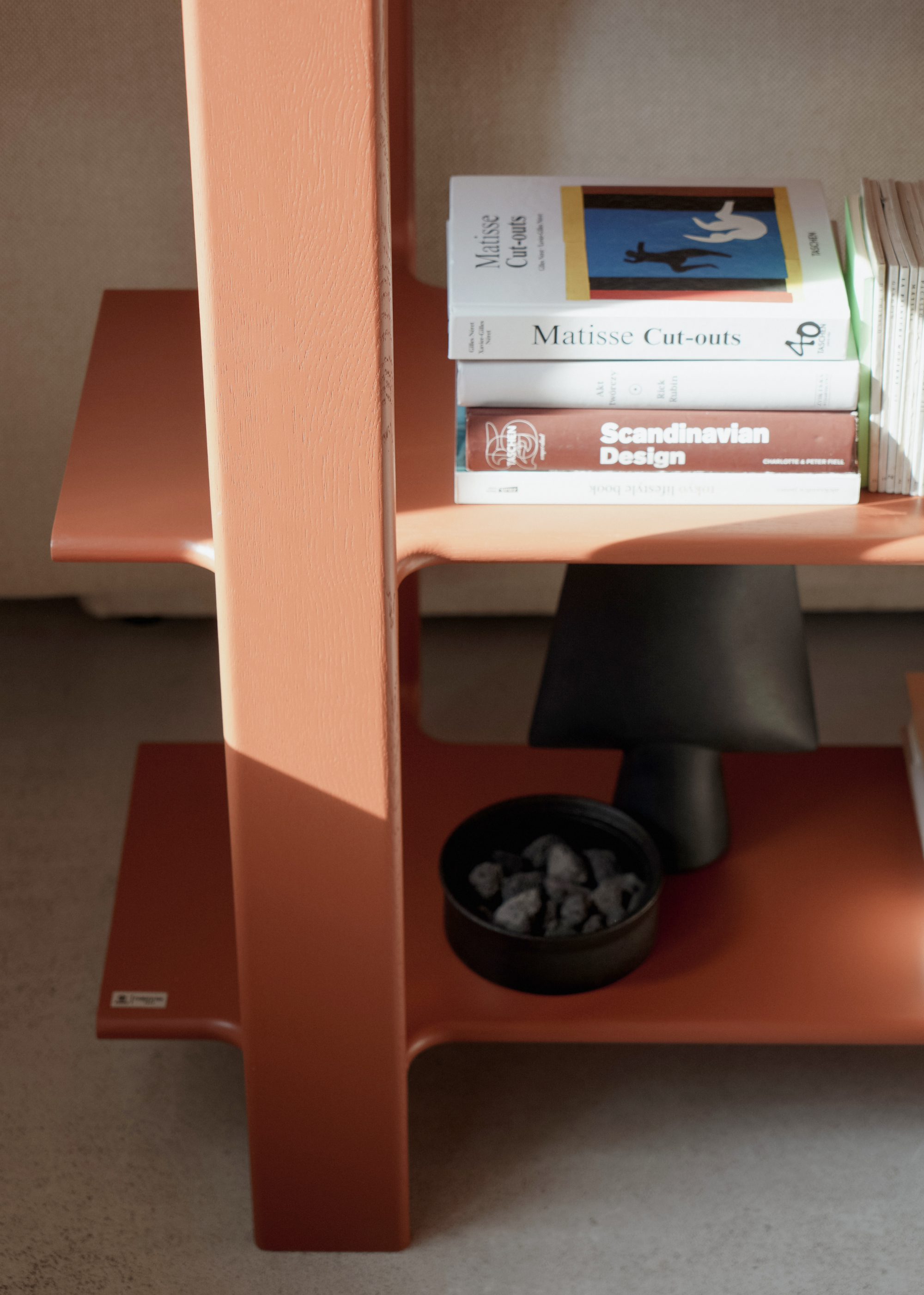 LIGO 4 bookcase TAMO