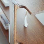 LIGO 3 bookcase TAMO