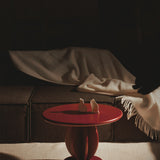 CITRUS LOW coffee table / Burgundy ash